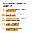 ИБП для котла Энергия Гарант 750 + Аккумулятор 55 Ач 12 В (450Вт - 67мин) - ИБП и АКБ - ИБП для котлов - . Магазин оборудования для автономного и резервного электропитания Ekosolar.ru в Находке