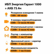 ИБП для котла Энергия Гарант 1000 + Аккумулятор 75 Ач 12 В (600Вт - 68мин) - ИБП и АКБ - ИБП для котлов - . Магазин оборудования для автономного и резервного электропитания Ekosolar.ru в Находке